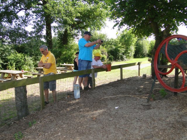 2011HWK 127.jpg